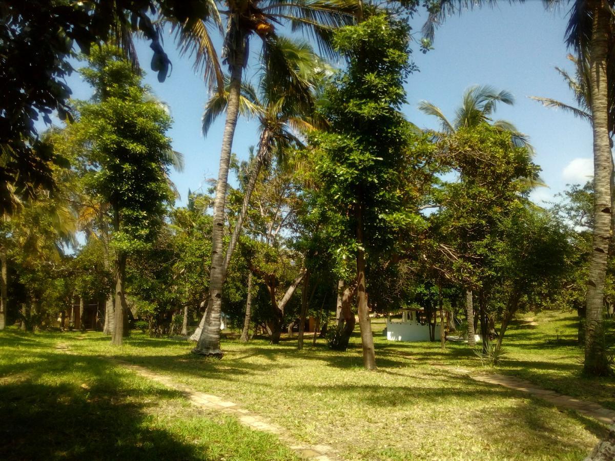 Turtle Cove Lodge And Yoga Shala Praia do Praia do Tofo Exterior foto